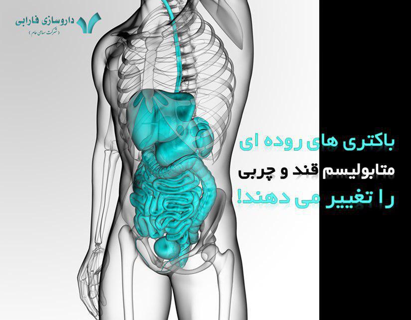 باکتری های روده ای