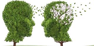 photo_۲۰۱۸-۰۱-۲۸_۰۸-۲۸-۵۴